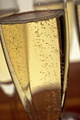 Close-up of sparkling white wine with bubbles rising in it