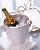 Bottle of champagne in champagne cooler