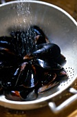 Close-up of raw bouchot mussels being washed in colander