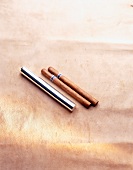 Stainless steel cigar case with two cigars