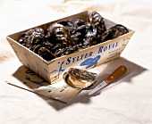 Oysters in crate