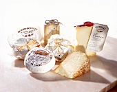 Assortment of raw milk cheese from Italy