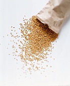 Oats spilling from brown bag