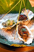 Variations of oysters on salt bed