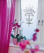 Fensterbank mit Orchideen und verziertem Fenster