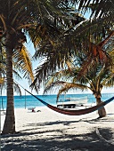 Hängematte unter Palmen am Strand Riviera Maya in Mexiko, Karibik