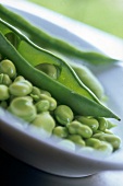 Close-up of fresh broad beans