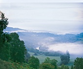 Flusslauf bei Llyswen mit Nebel über den Wäldern in der Ebene