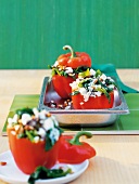 Close-up of stuffed peppers on serving dish