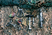 Different types of cork screw with figs on stone, overhead view