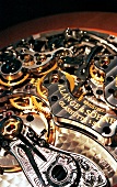 Parts of luxury watch: Raderwerk