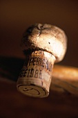 Close-up of cork of champagne bottle