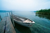 Insel Reichenau mit Ruderboot im Morgennebel am Ufer des Bodensee