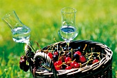 Two glasses of cherry brandy in a basket with fresh juicy cherries