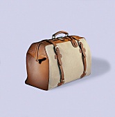 Design-Reisetasche, klassische Canvas-Leder-Kombination
