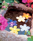 Schwimmkerzen in Blütenform im Gartenteich arrangiert
