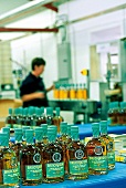 Whiskyflaschen auf der Abfüllanlage der Bruichladdich Destillerie