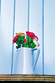 Flower pot with fresh carnations