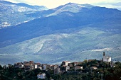 Blick über das Dorf Poggio de Venaco zwischen Bergen, Korsika