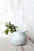 Various herbs in white porcelain vessel