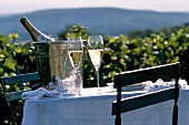 Picknick mit Champagner vor einer Weinlandschaft