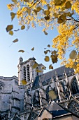 Low angle view of Cathedral in Troyes, Champagne, France