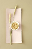 Bowl of buckwheat with cereals