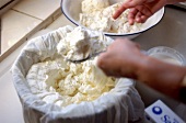 Close-up of cheese being prepared