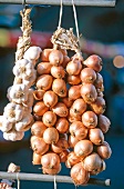 Bund  Zwiebeln und Knoblauch  auf dem Markt von Morlaix