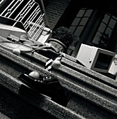 Monitor, rackets, shoes and tennis balls scattered on stairs, black and white