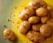 Close-up of fresh organic potatoes on green background