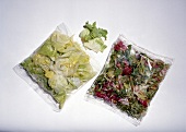 Lettuce leaves in plastic pouches on white background