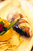 Close-up of whole fish with pepper and sea shell on white plate