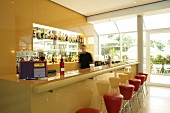 Person at bar counter in hotel, Germany