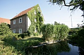 View of house covered with plants