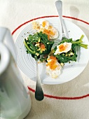 Spinach salad with fried quail eggs on plate
