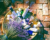 Ein dicker Lavendelstrauß, gebunden, Lavendelprodukte im Korb