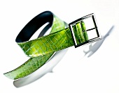 Green hip belt with crocodile embossing and silver buckle on white background