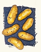 Mandelkartoffel Biokartoffeln, Kartoffelsorte