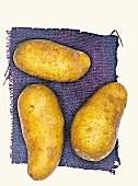 Cilena Biokartoffeln, Kartoffelsorte