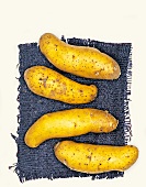 La Ratte Biokartoffeln, Kartoffelsorte