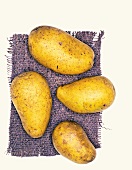 Leyla Biokartoffeln, Kartoffelsorte