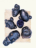 Violette Biokartoffeln, Kartoffelsorte