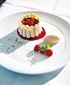 Tiramisu with raspberry and white coffee ice cream on plate