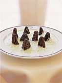 Close-up of morels in cream soup on plate