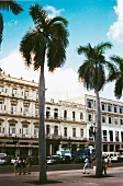 Straße in Havanna mit Palmen, Häuser, Menschen, Autos