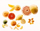 Varieties of citrus fruits on white background