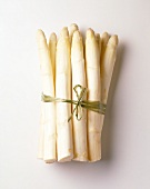 Bunch of tied-up white asparagus on white Background