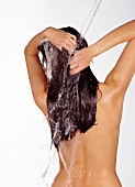 Rear view of dark haired woman washing her hair under shower
