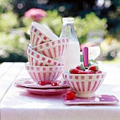Stapel Schälchen mit rosa Streifen + e. mit Erdbeeren, draußen